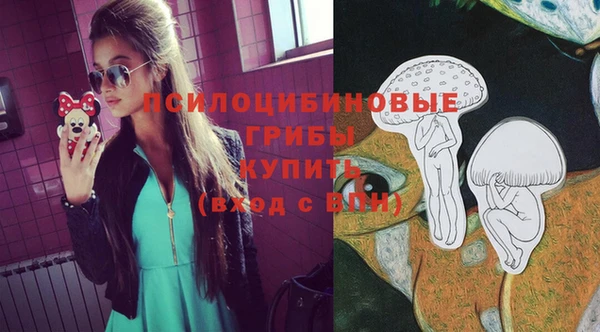 а пвп мука Баксан