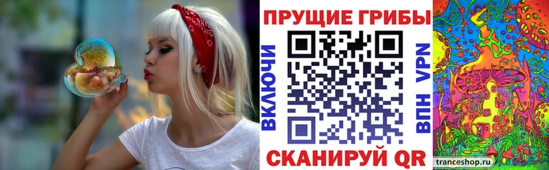 ОМГ ОМГ ССЫЛКА  Заполярный  Галлюциногенные грибы Psilocybine cubensis 